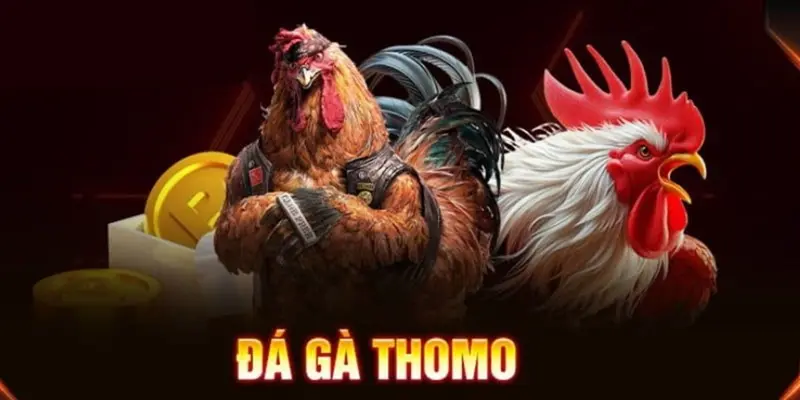 188Bet liên tục cập nhật những trận đấu từ các sới gà lớn thế giới